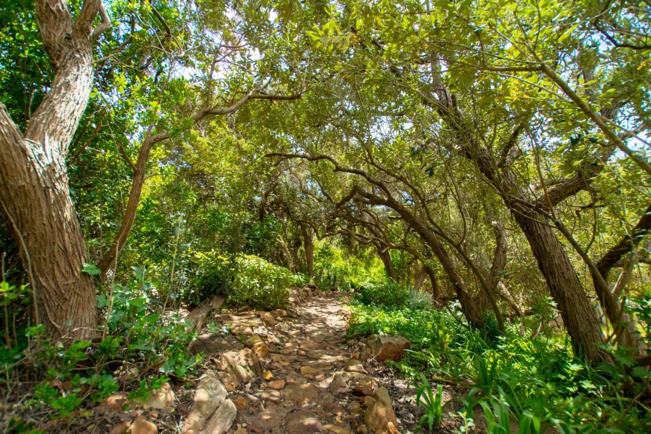 Makapa Lodge Le Cap Extérieur photo