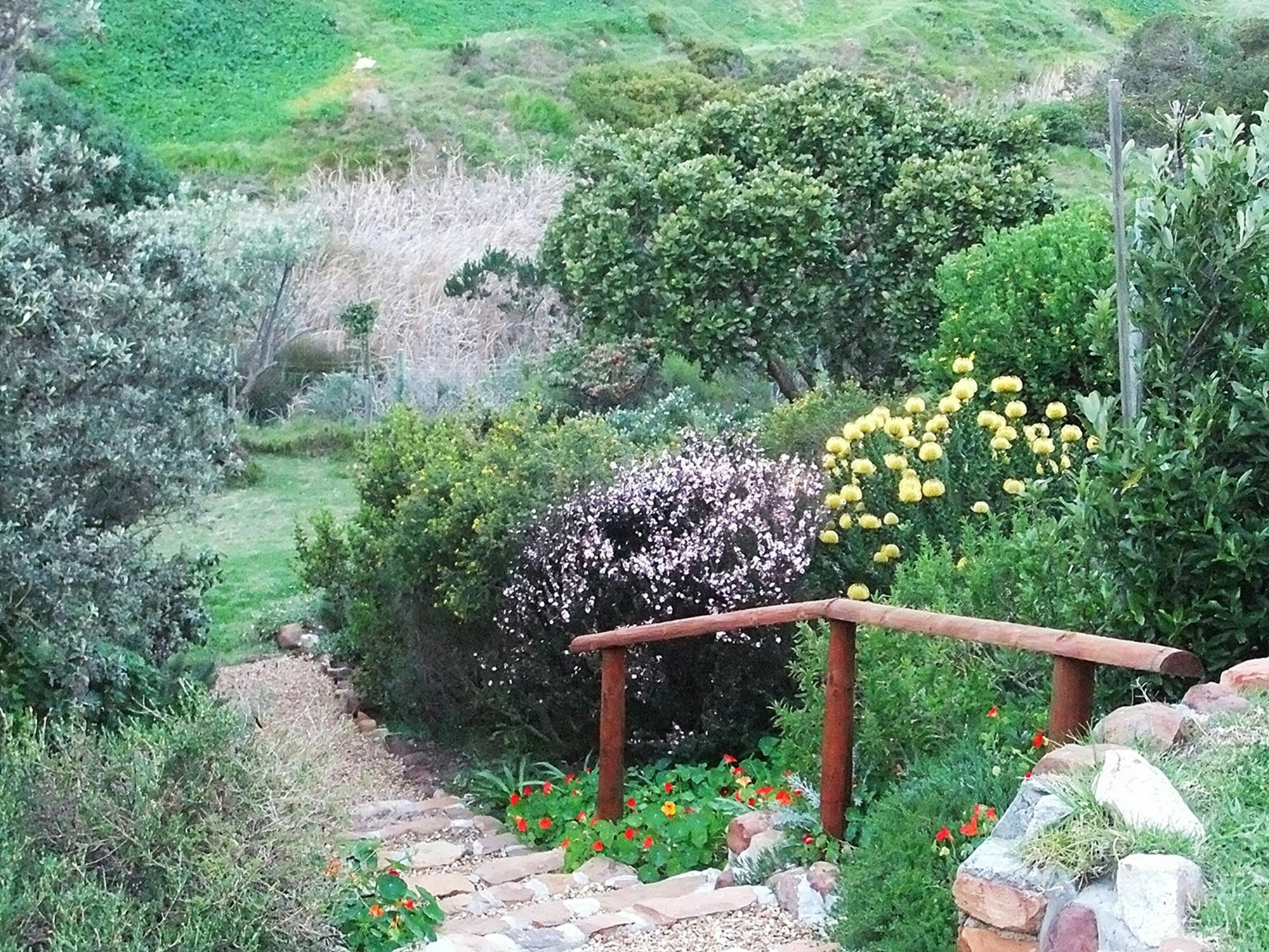 Makapa Lodge Le Cap Extérieur photo